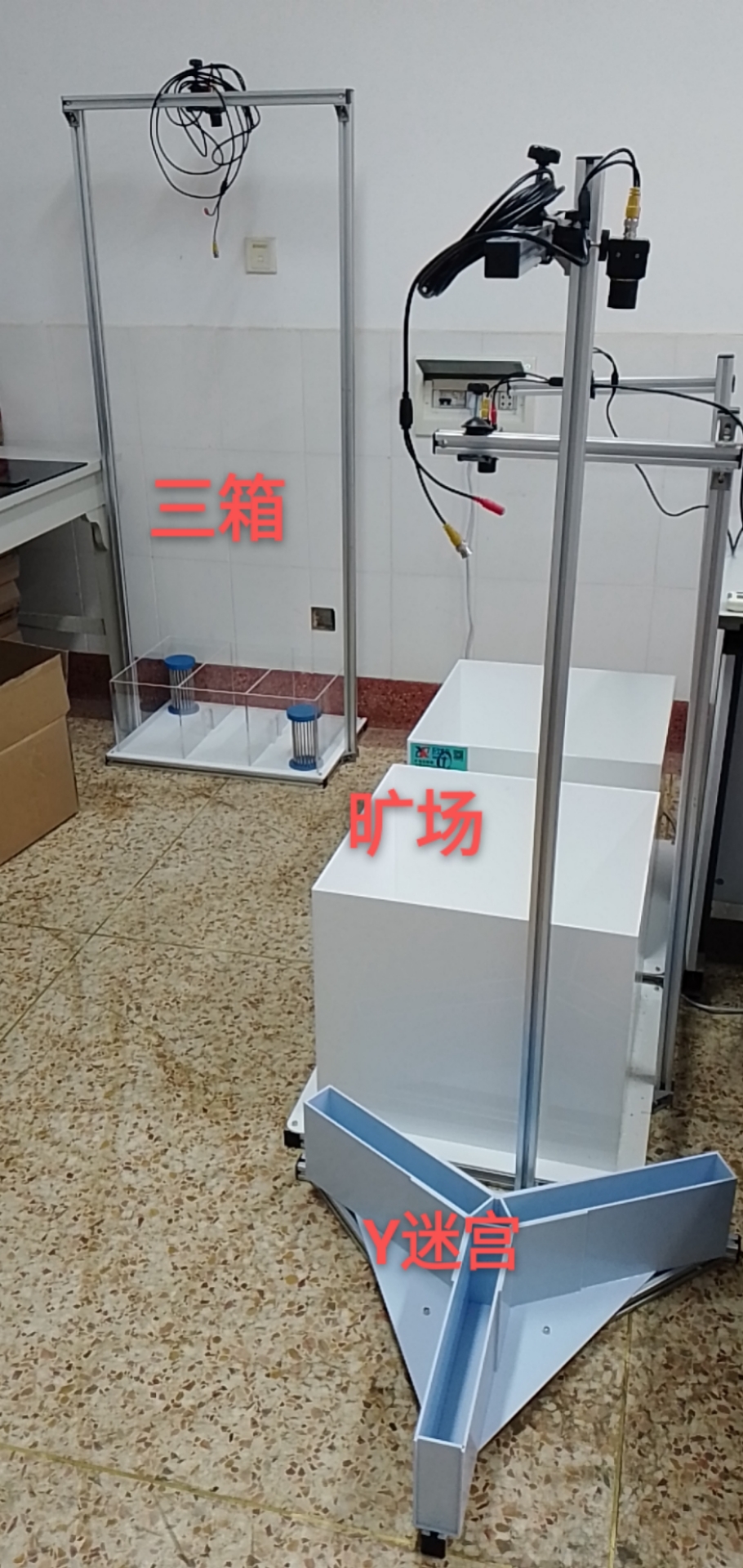 三箱，旷场，Y迷宫